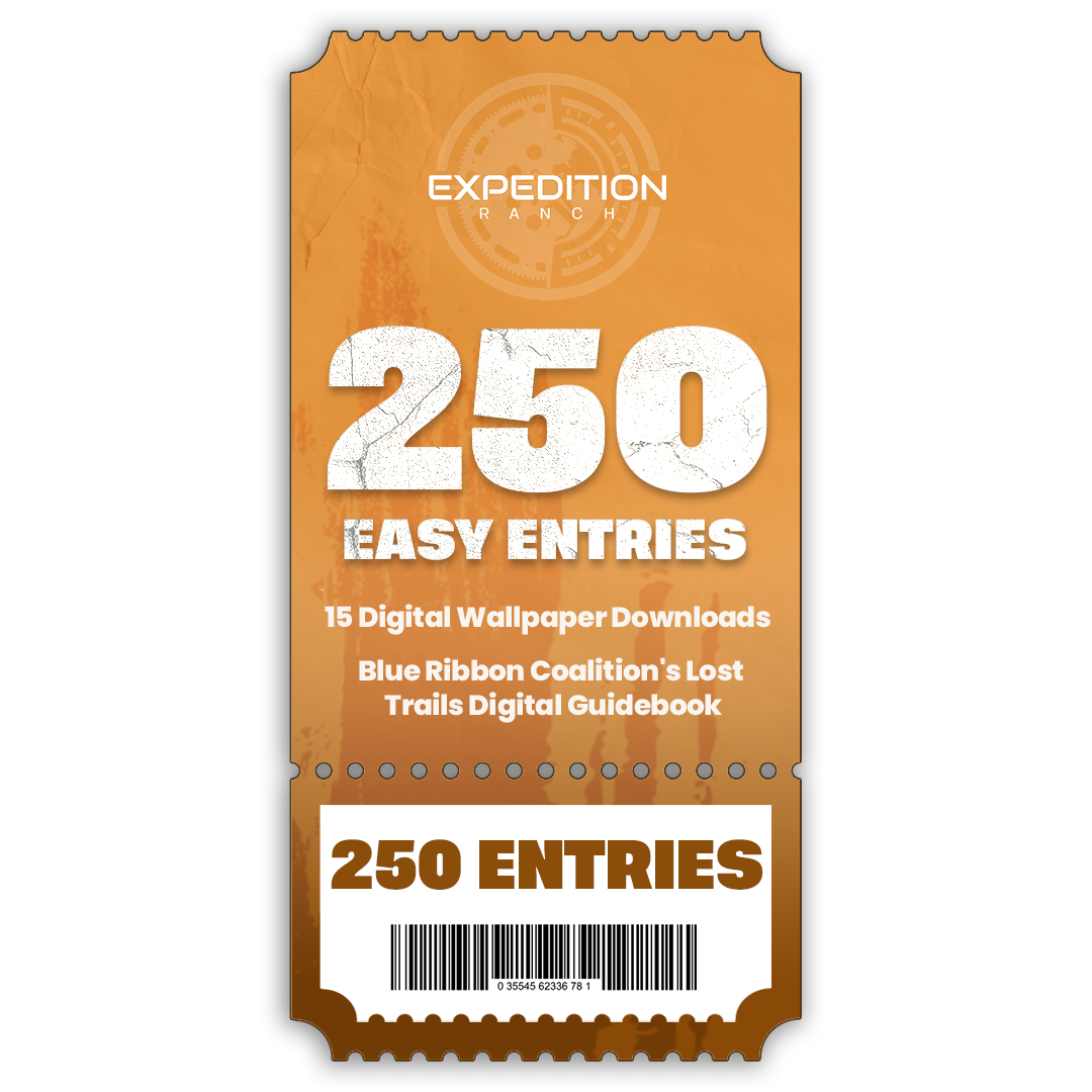 250 TICKET ENTRIES