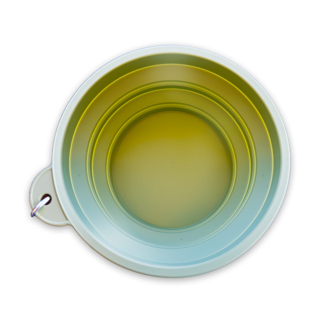 Collapsible Dog Bowl