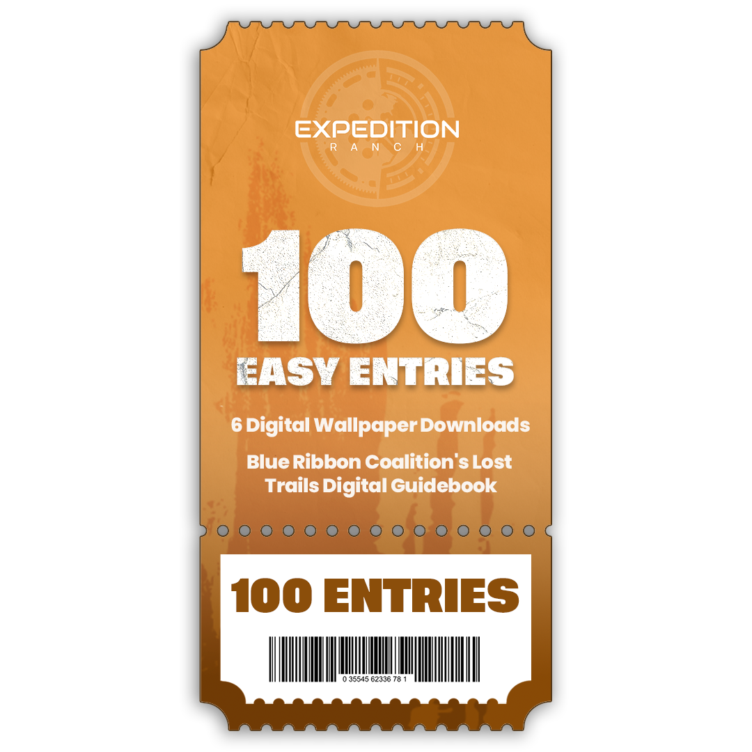 100 TICKET ENTRIES