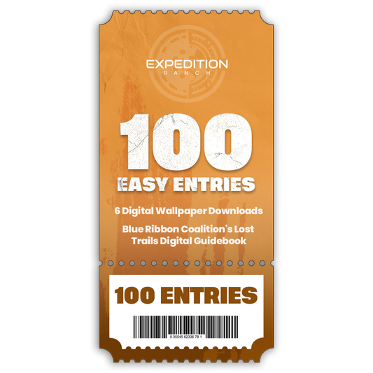 100 TICKET ENTRIES