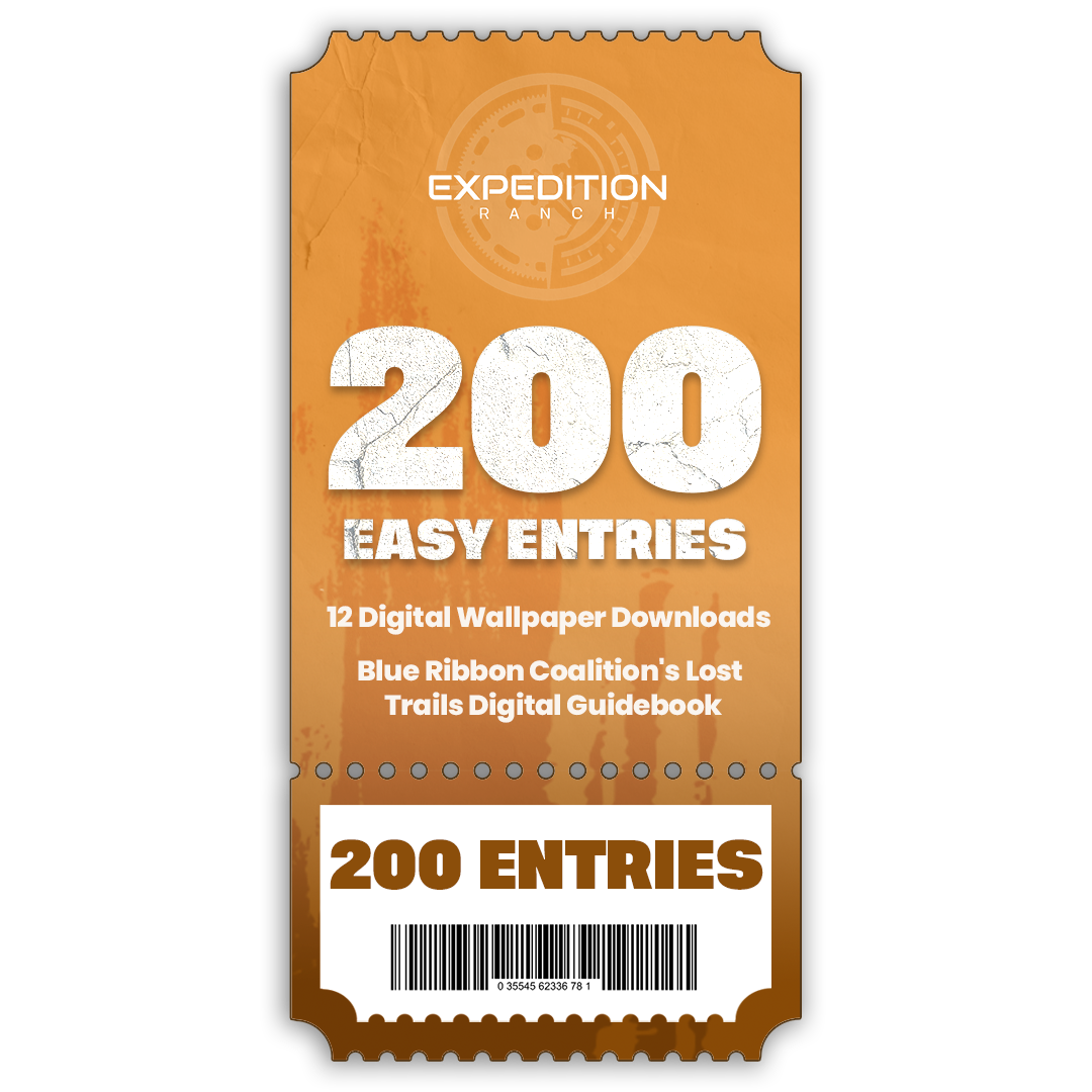 200 TICKET ENTRIES