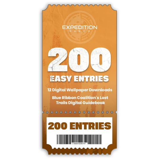 200 TICKET ENTRIES
