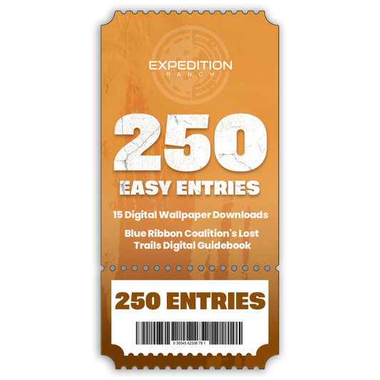 250 TICKET ENTRIES