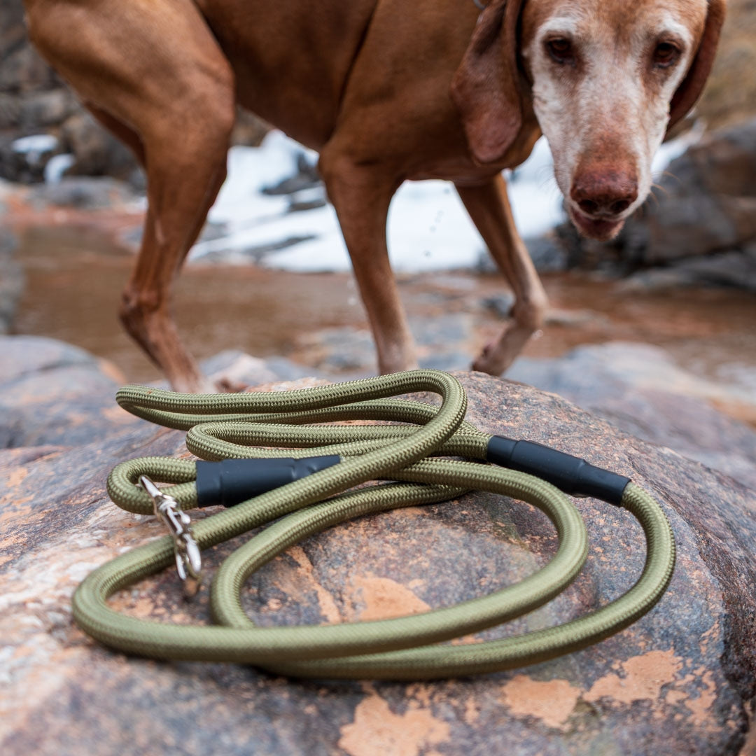 Rope Leash