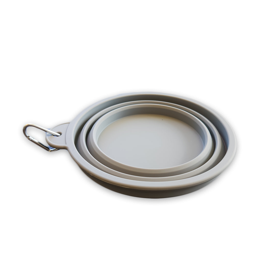 Collapsible Dog Bowl