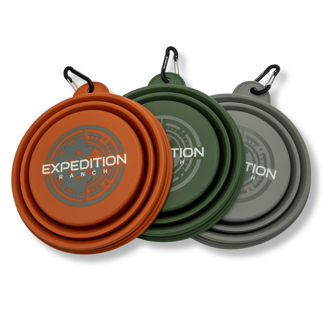 Collapsible Dog Bowl