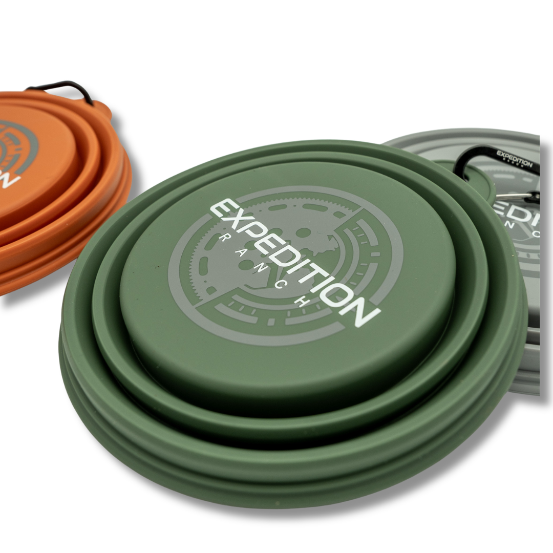 Collapsible Dog Bowl