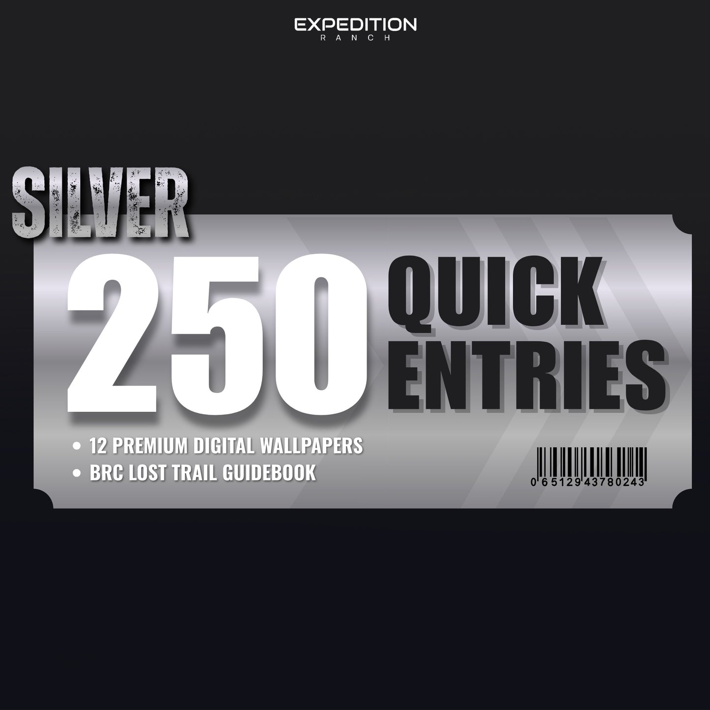 Silver Quick Entry